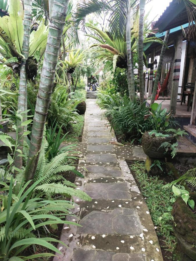Comeback Guesthouse Canggu Exterior foto