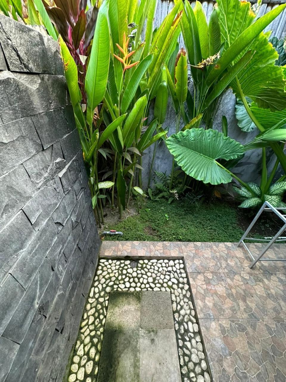 Comeback Guesthouse Canggu Exterior foto