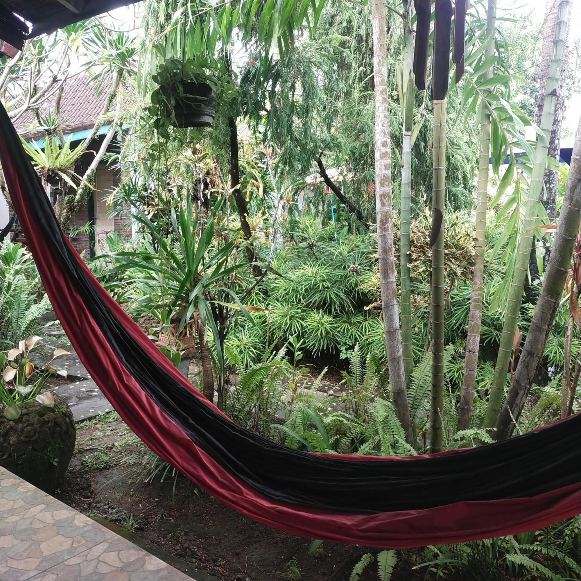 Comeback Guesthouse Canggu Exterior foto